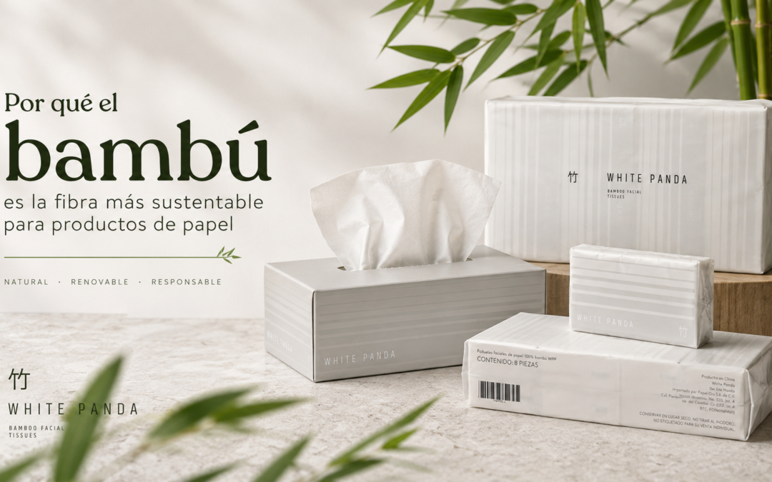Por qué el bambú es la fibra más sustentable para productos de papel